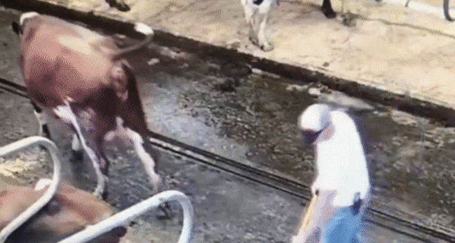 Swiss mountain landscape